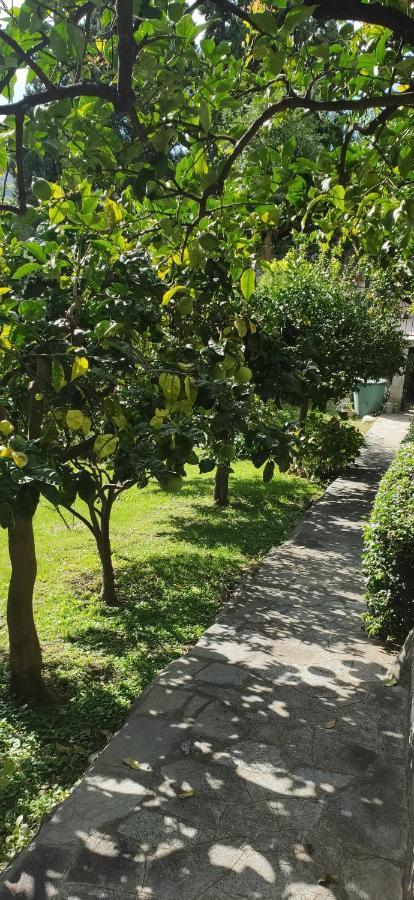 B&B Oasi Regina Pacis Santa Margherita Ligure Kültér fotó